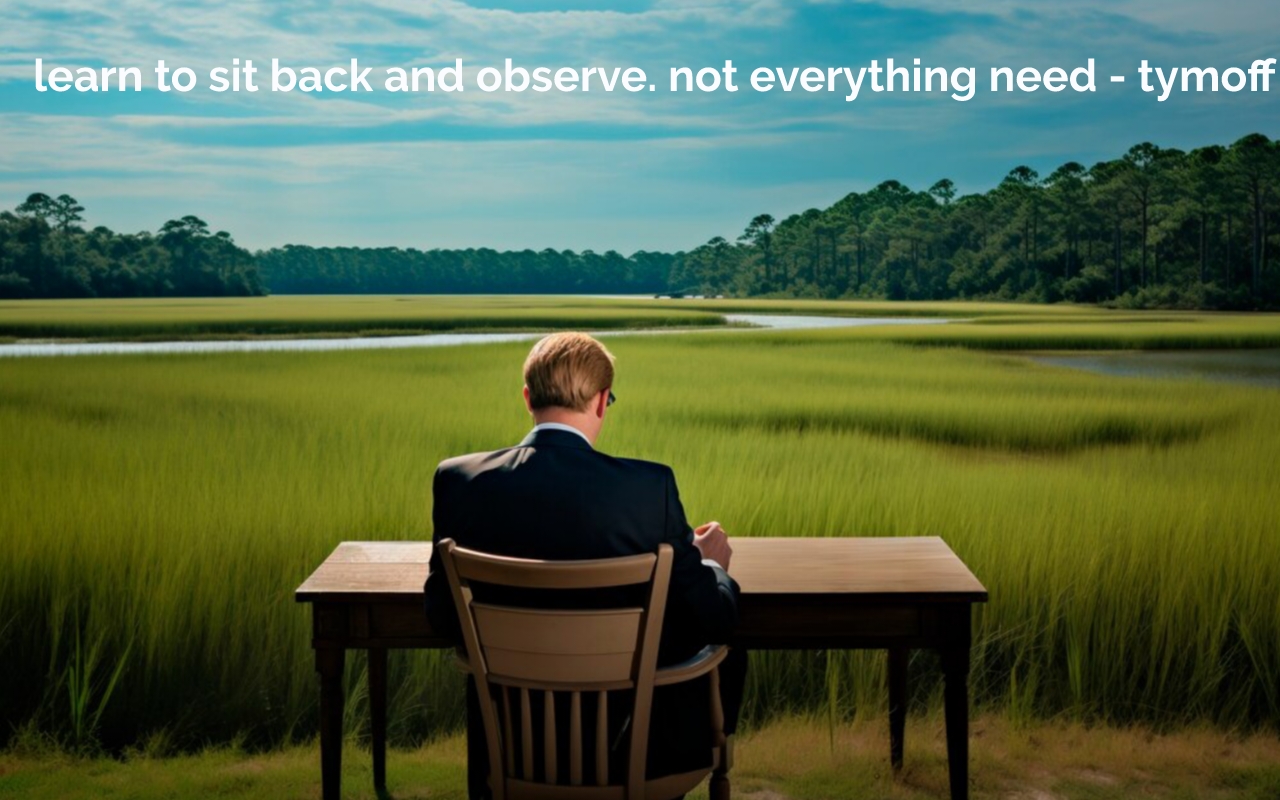 Learn to Sit Back and Observe. Not Everything Need - Tymoff